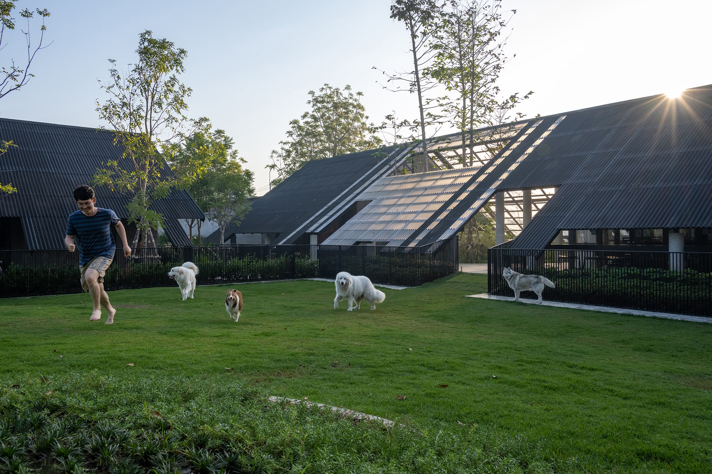 The central courtyard is the center of life, where the dogs play