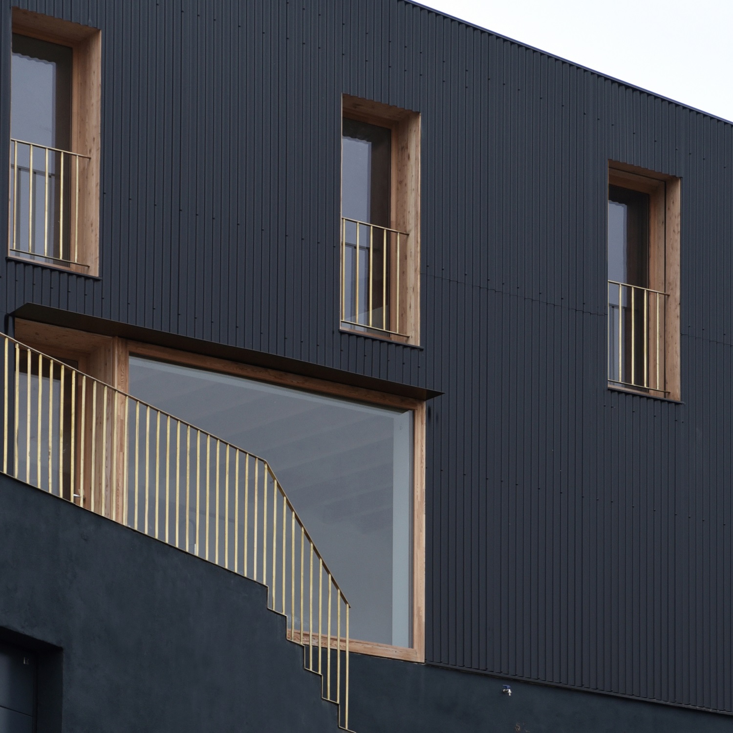 The exterior of the house consists of walls with black cladding and a series of wide openings