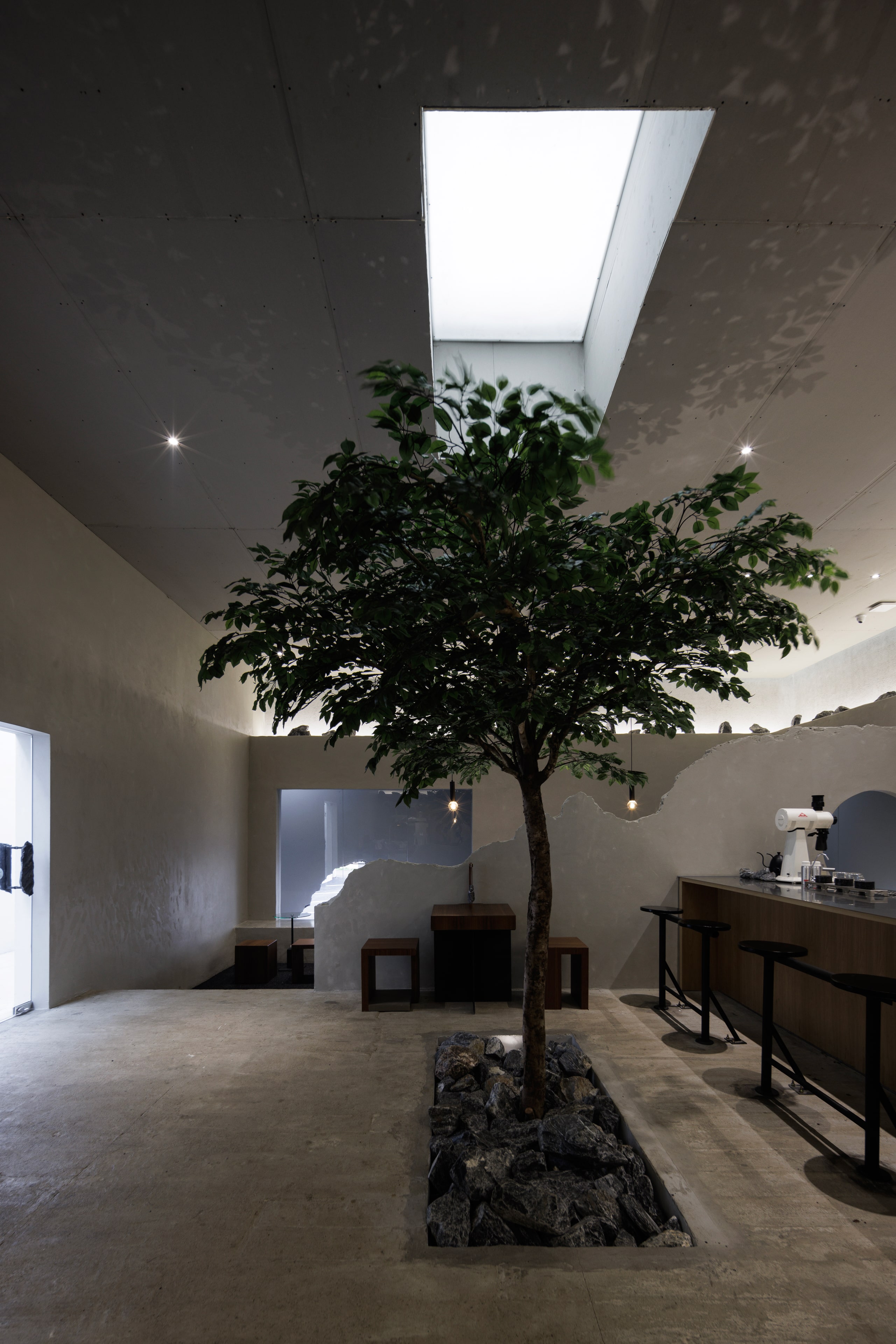 A tree standing alone under a skylight in the area received the order