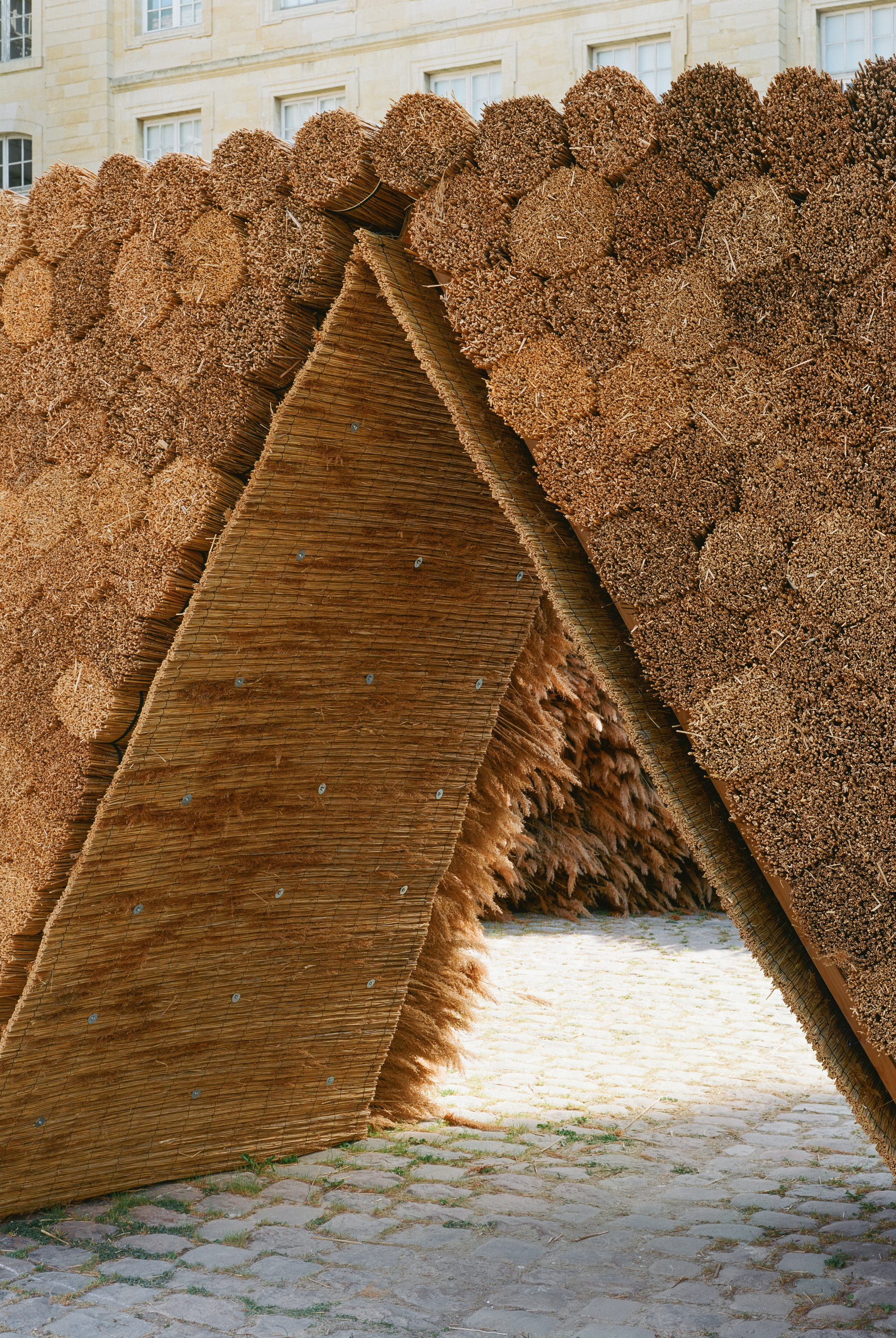 Details of reeds from the Rausa pavilion