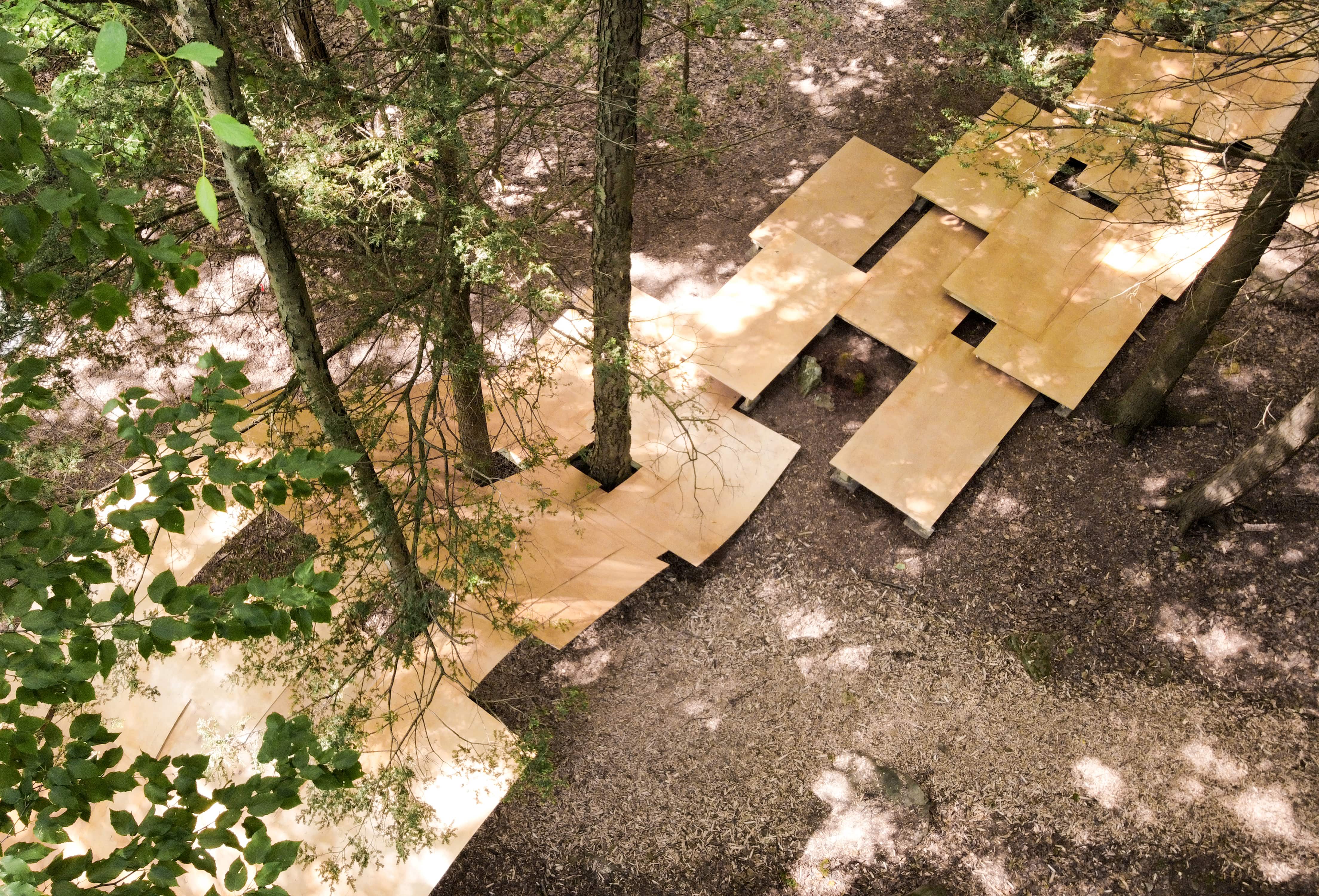 Arrangement of Plywood Boards in Peak A Boo Installation