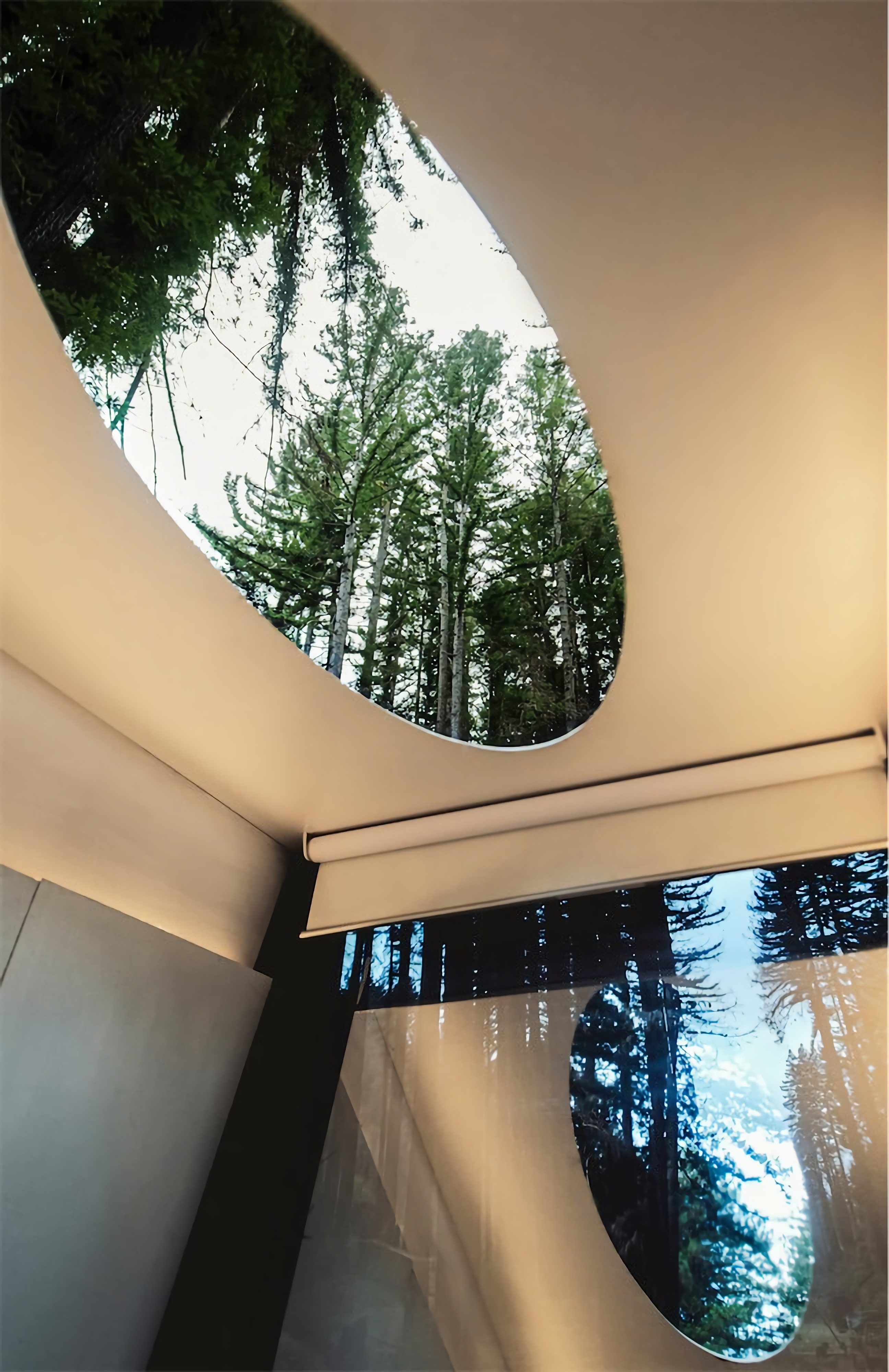 An elliptical skylight will capture a panoramic view of the trees against the sky