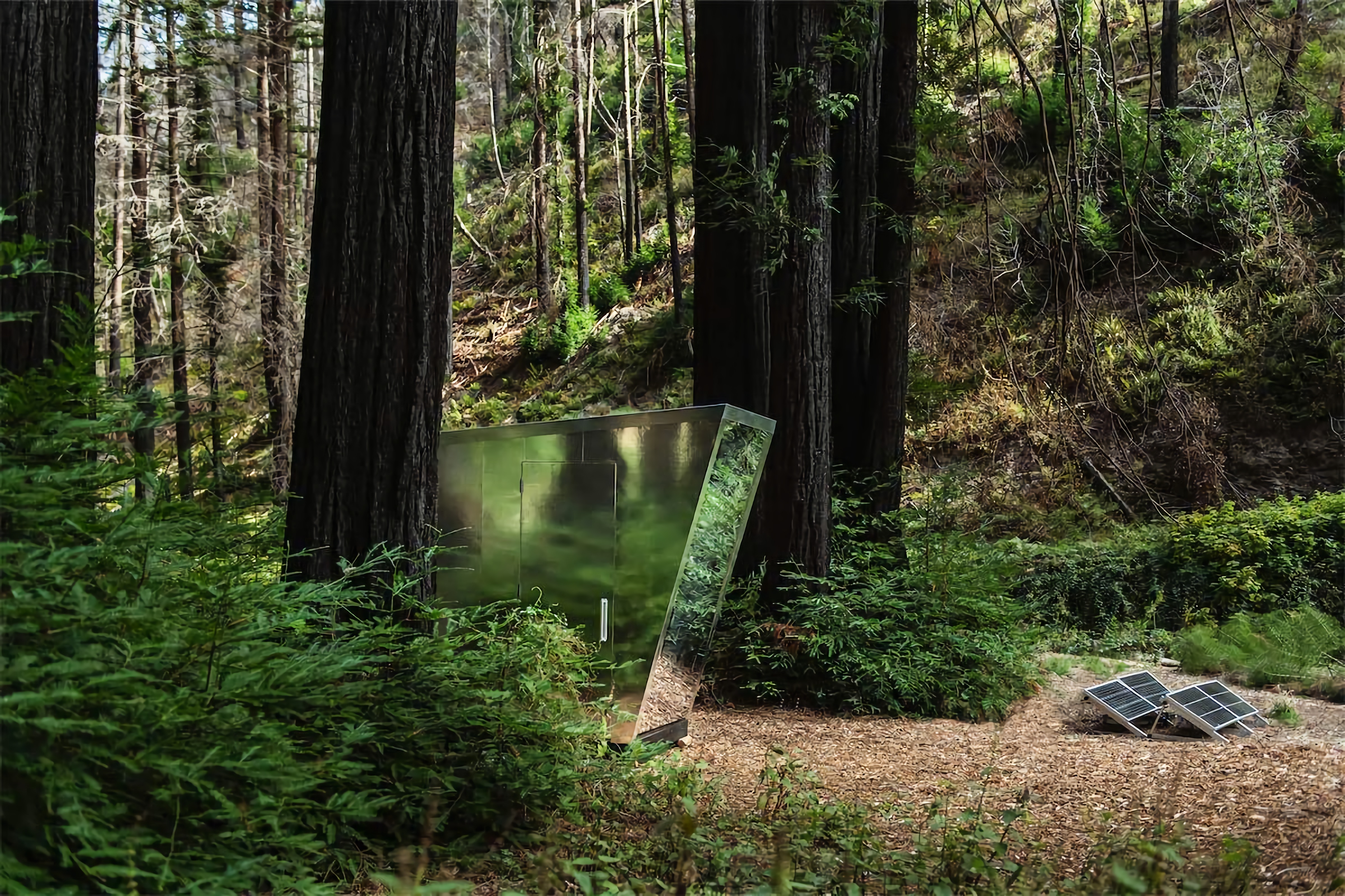 The reflective glass material seems to disguise The Portal's presence in the middle of the forest