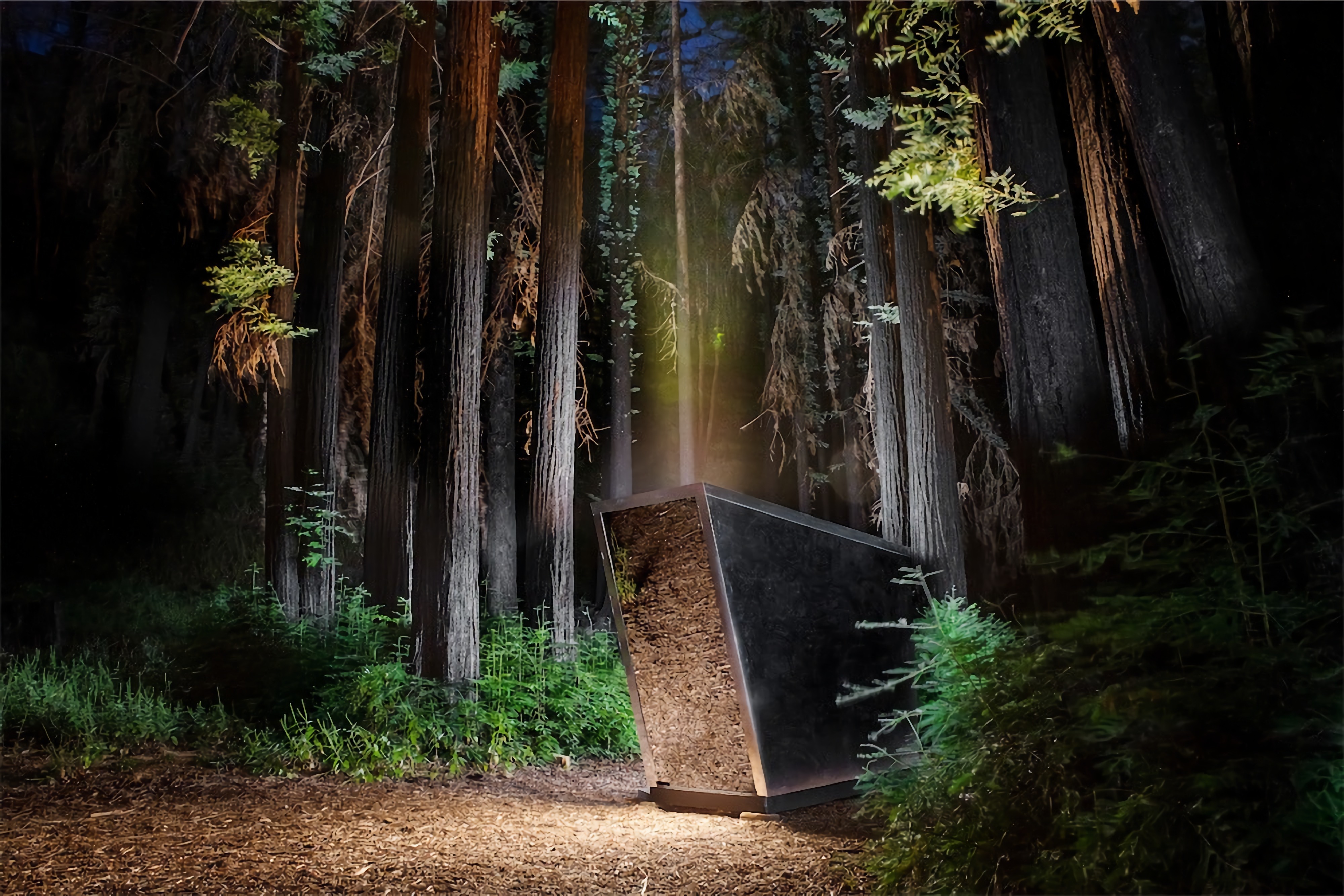 The Portal by Jupe is in the middle of the wilderness in the United States