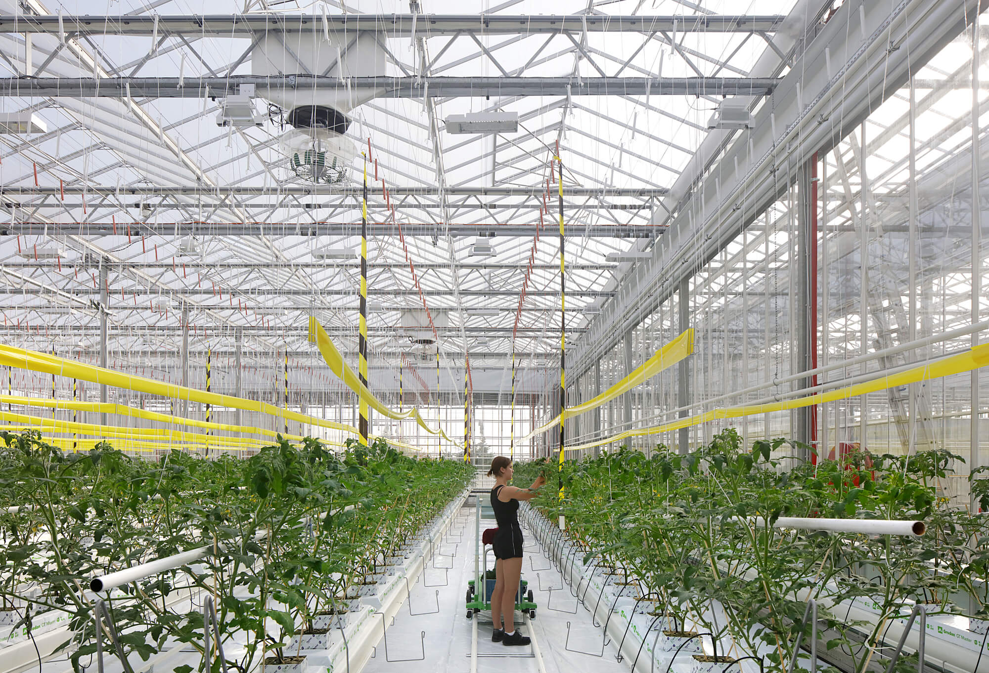 Agrotopia comes to life in a circular symbiosis with the city