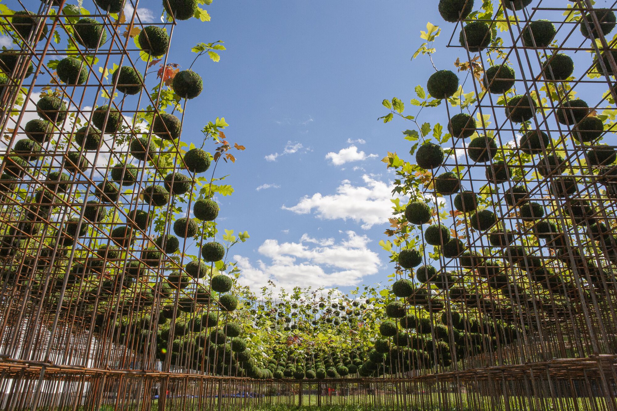 The metal structure is 2.2m high to accommodate hundreds of Kokedama that form an inverted dome