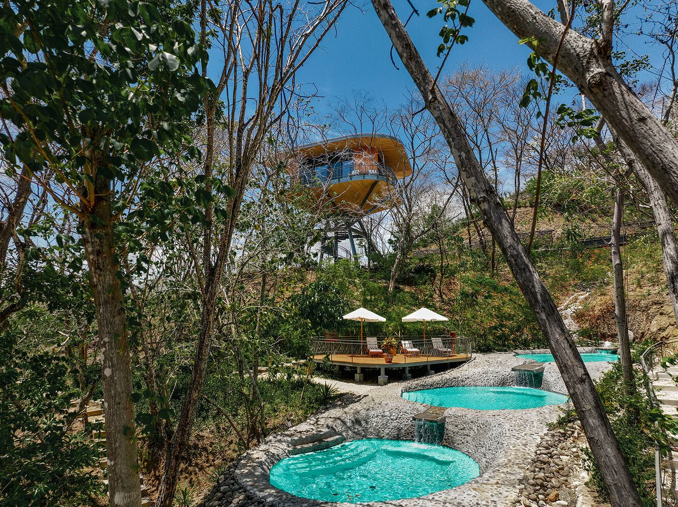 Suitree Experience Hotel: Architecture and Nature Coexist in Harmony
