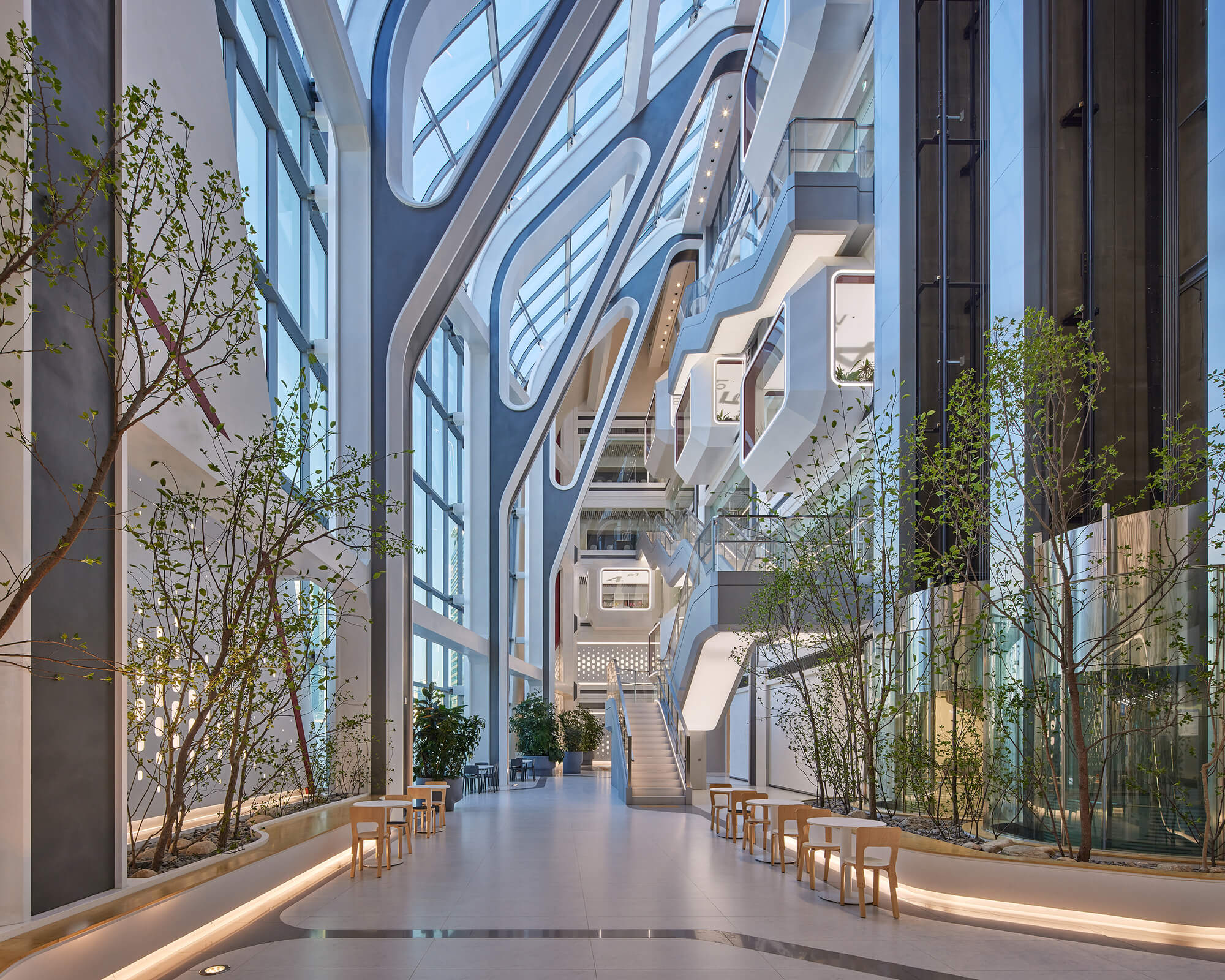 the inner garden allows the light to enter all parts of the office