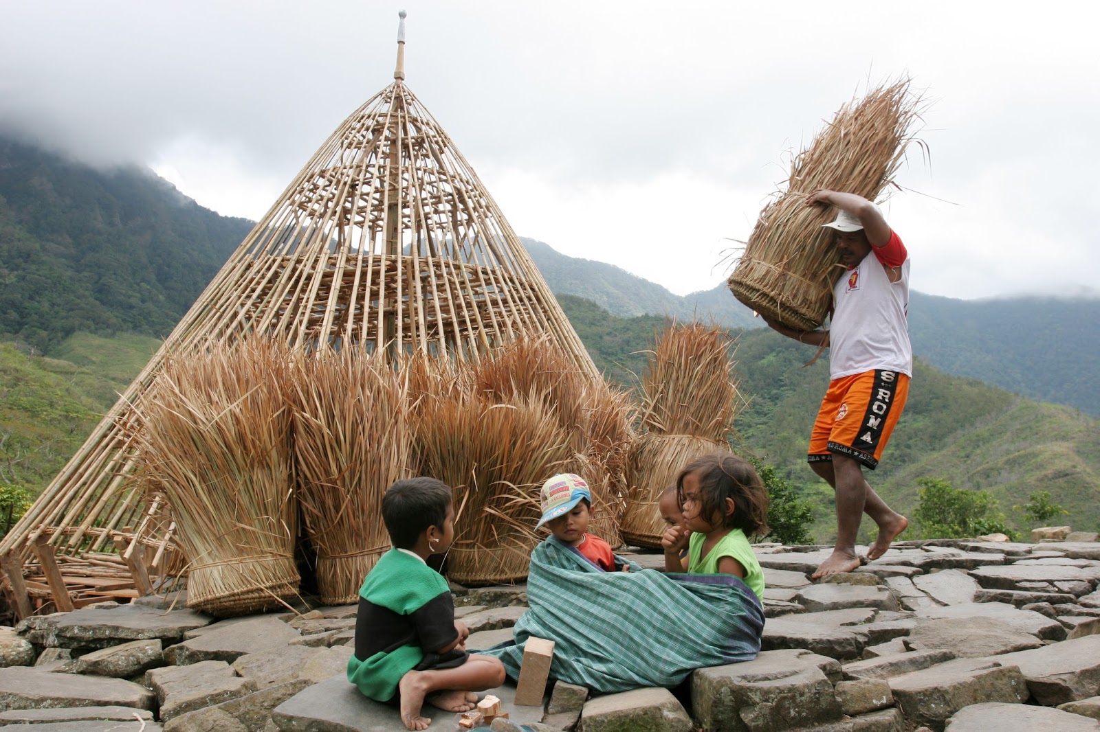 The raw material for the roof of Mbaru Niang is reeds